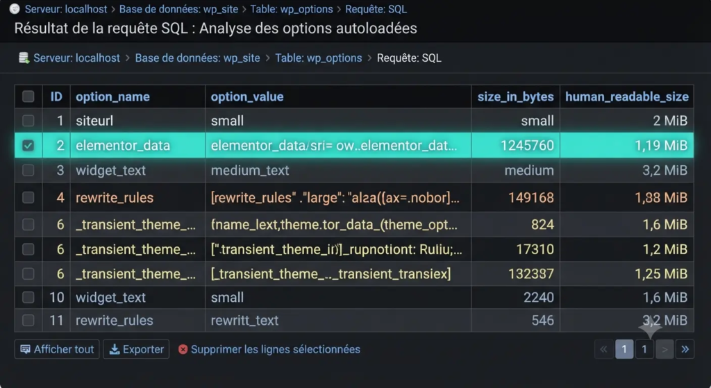 Base de données WordPress : contenu, tables et lenteurs 2 Résultat de la requête SQL mesurant le poids des options autoloadées